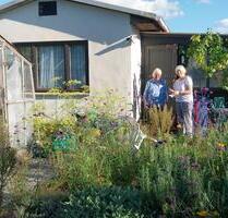 Sonniger Kleingarten mit Laube in Templin