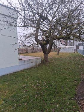 Foto - Einfamilienhaus in Fischach