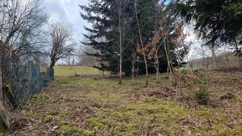 Foto - Freizeitgrundstück günstig zu verpachten