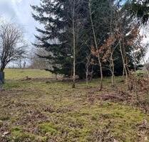 Freizeitgrundstück günstig zu verpachten - Fuldatal