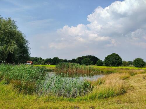 Foto - Gartenland Teichgrundstück Freizeitgrundstück