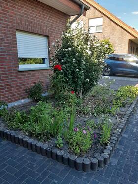 Foto - Einfamilienhaus in Ennigerloh