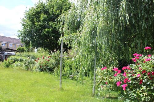 Foto - Etagenwohnung in Hagen zur Miete