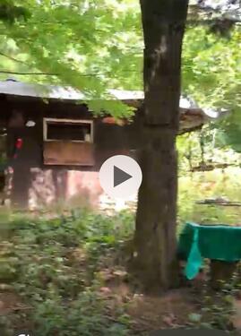 Foto - Grundstück mit Hütte zu verpachten, Gartenland in Duedelsheim (Bü