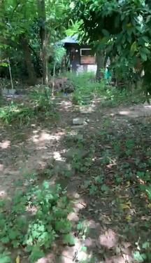 Foto - Grundst&uuml;ck in Nidderau