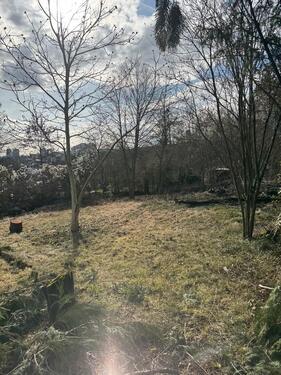 Foto - Großes Freizeitgrundstück Garten auf dem Lohrberg