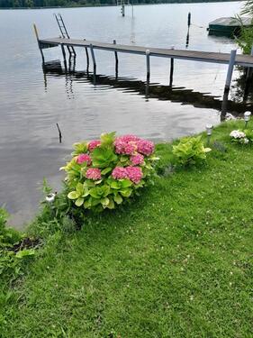 Foto - 