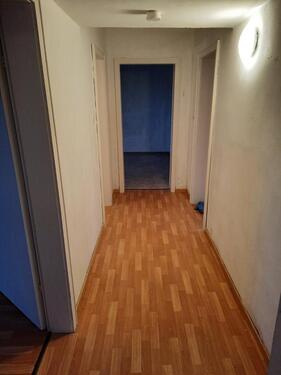 Foto - Wohnung zu Vermieten - 590,00 EUR Kaltmiete,