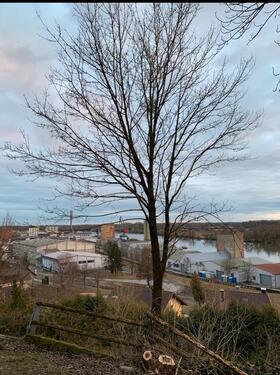 Foto - 3 Zimmer Bungalow in Deggendorf