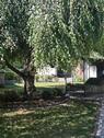Foto - Einfamilienhaus zur Miete in Peterswald-Löffelscheid