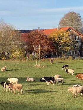 Foto - Ferienzimmer nahe Öschlesee - 40,00&nbsp;EUR Kaltmiete, ca.&nbsp; 25,00&nbsp;m&sup2;