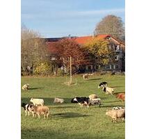 Ferienzimmer nahe Öschlesee - 40,00&nbsp;EUR Kaltmiete, ca.&nbsp; 25,00&nbsp;m&sup2; in Kempten (Allgäu) (PLZ: 87437) Auf dem Lindenberg