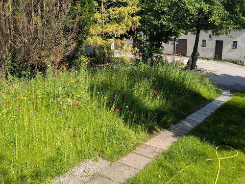 Foto - 9 Zimmer Einfamilienhaus zur Miete in Trostberg