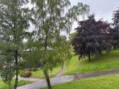 Foto - 3 Zimmer Etagenwohnung zur Miete in Remscheid