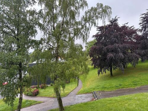 Foto - 3 Zimmer Etagenwohnung zur Miete in Remscheid