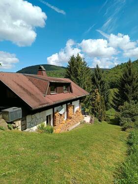 Foto - Urlaub im Ferienhaus im Thüringer Wald - Oberschönau