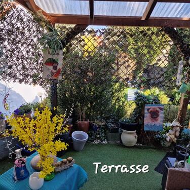 Foto - Einfamilienhaus in Braunschweig zum Kaufen