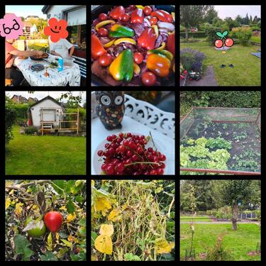 Foto - Grundst&uuml;ck zur Miete in Solingen