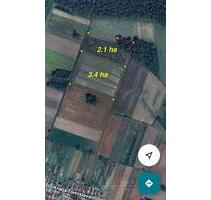 Landwirtschaftliches (P3) GRUNDSTUCK ( 55.000 m2 5.5 ha ) HR * - Recklinghausen