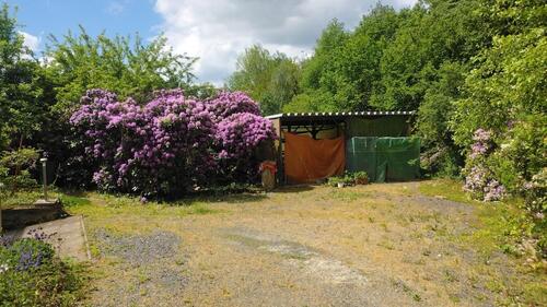 Foto - Einfamilienhaus in Großschönau zum Kaufen