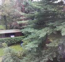 vermietete 3-zimmer-Altbauwohnung in Hamburg-Wandsbek