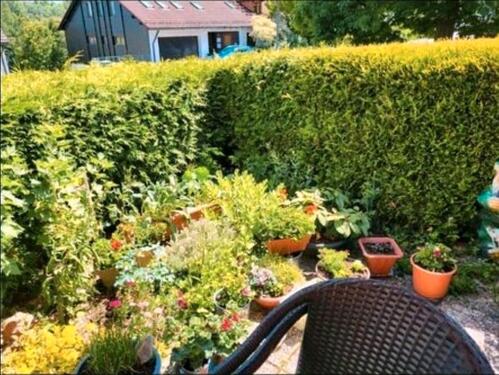 Foto - 2 Zimmer Etagenwohnung zur Miete in Bad Alexandersbad