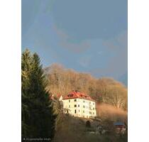 Frisch Renovierte 3 Raum Wohnung in Sonniger Lage - Ruhla