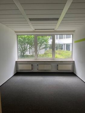 Foto - andere in Heidelberg