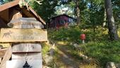Foto - Ferienhaus in Südschweden,250m zum See, Boot, Kanu, Hund