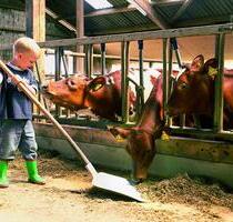 Urlaub auf dem BauernhofOstseeSauna 21.3-.28.3.2026 - Kappeln