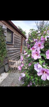 Foto - OSTERSPECIAL Mobilheim, Tinyhouse modernisiert zu verkaufen