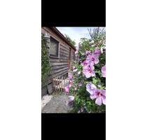 OSTERSPECIAL Mobilheim, Tinyhouse modernisiert zu verkaufen - Willich