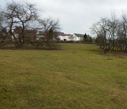 Foto - Eingezäunte Freifläche - 1.700,00&nbsp;EUR Kaltmiete, ca.&nbsp; 1.500,00&nbsp;m&sup2;