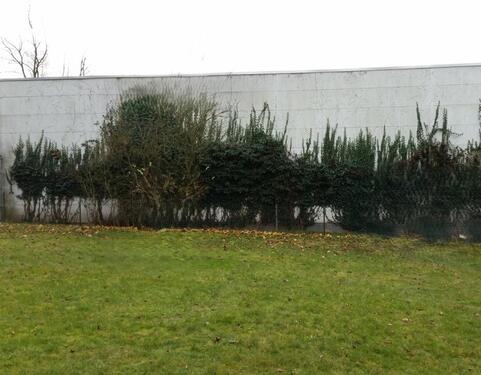 Foto - andere zur Miete in Sankt Ingbert