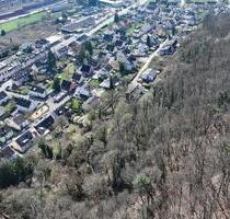Kleine Waldfläche in Trier - nahe Wohnsiedlung