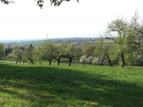 Foto - 2 Zimmer Dachgeschoßwohnung in Dresden