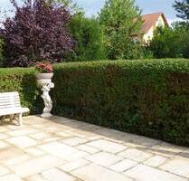 Diese helle, charmante 3,5Z Wohnung mit Terrasse und herrlichem Garten wird in Kürze für Sie frei - Kitzingen