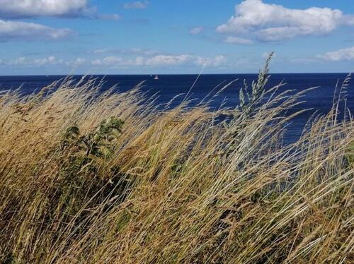 Foto - andere in Dörphof