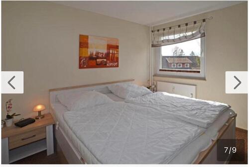 Foto - andere in Harz (LK Goslar)