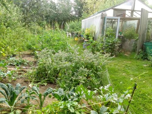 Foto - Grundst&uuml;ck in Geilenkirchen