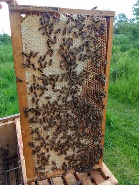 Foto - Grundst&uuml;ck in Geilenkirchen zur Miete