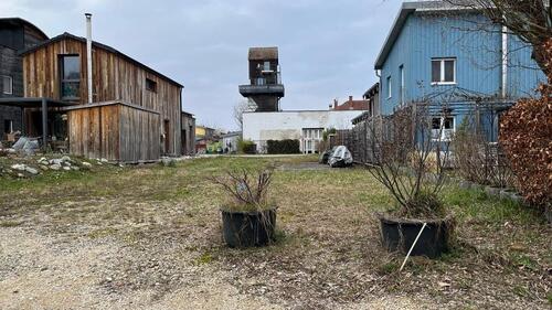 Foto - andere in Radolfzell am Bodensee