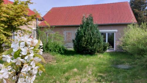 Foto - Einfamilienhaus in Heddesheim zum Kaufen