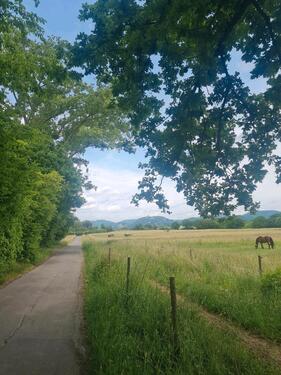 Foto - Grundstück zur Miete in Wachtberg