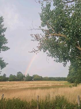 Foto - Grundstück in Wachtberg