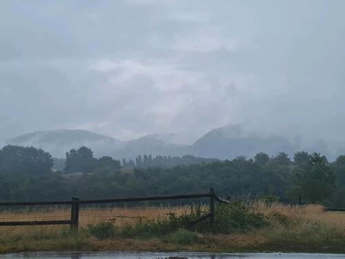 Foto - Grundstück in Wachtberg zur Miete