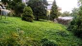 Foto - Garten-Grundstück-Haustiere - 123,00 EUR Kaltmiete, ca.  0,00 m²