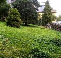 Garten-Grundstück-Haustiere-Reihenhaus - Pöhl