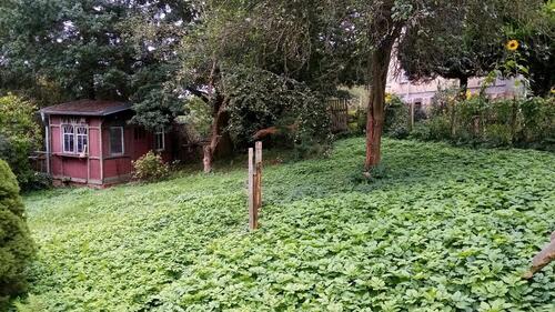 Foto - Grundstück zur Miete in Pöhl