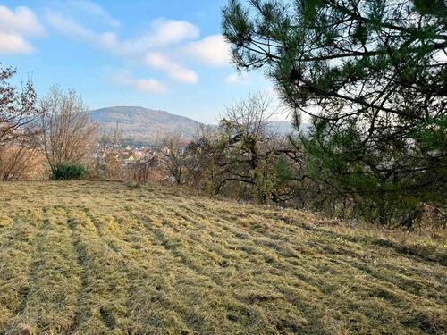 Foto - Grundstück zur Miete in Ettenheim